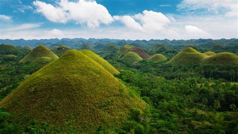 Cheap flights from Bohol.